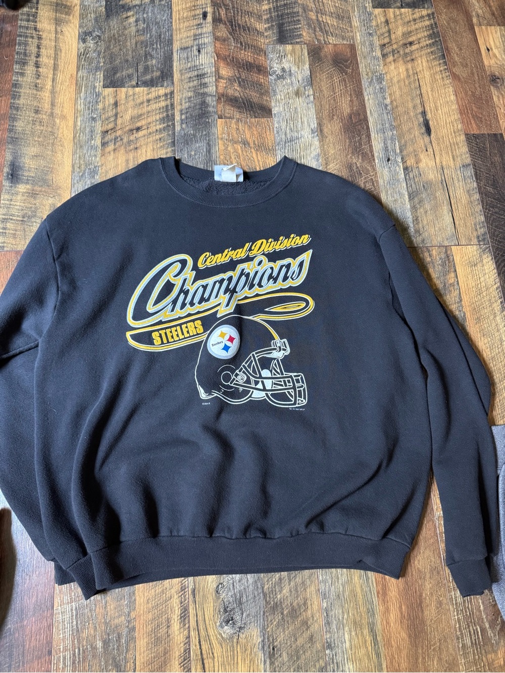 Vintage Pittsburgh Steelers Central Division Champions Black Sweatshirt